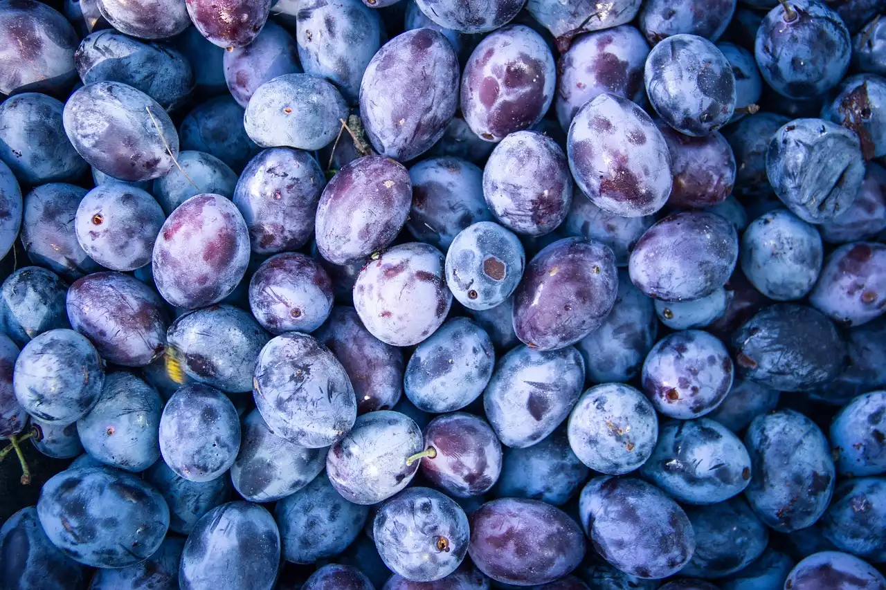 Les aliments surprenants qui ne sont pas végétaliens (et quoi manger à la place)